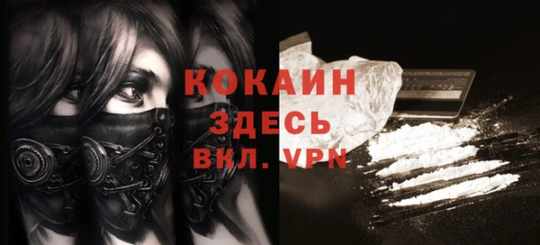 дмт Вяземский